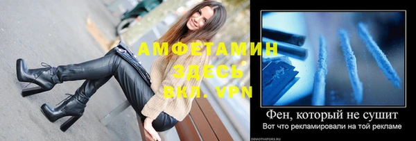 молекула духа Богданович