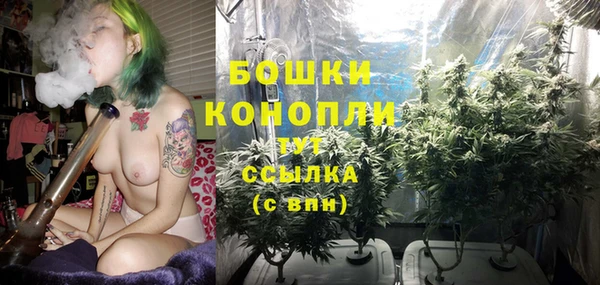 марки lsd Бородино