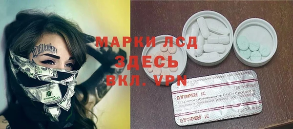 молекула духа Богданович