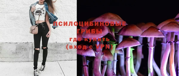 молекула духа Богданович