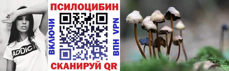 купить наркоту  Мезень  Галлюциногенные грибы MAGIC MUSHROOMS 